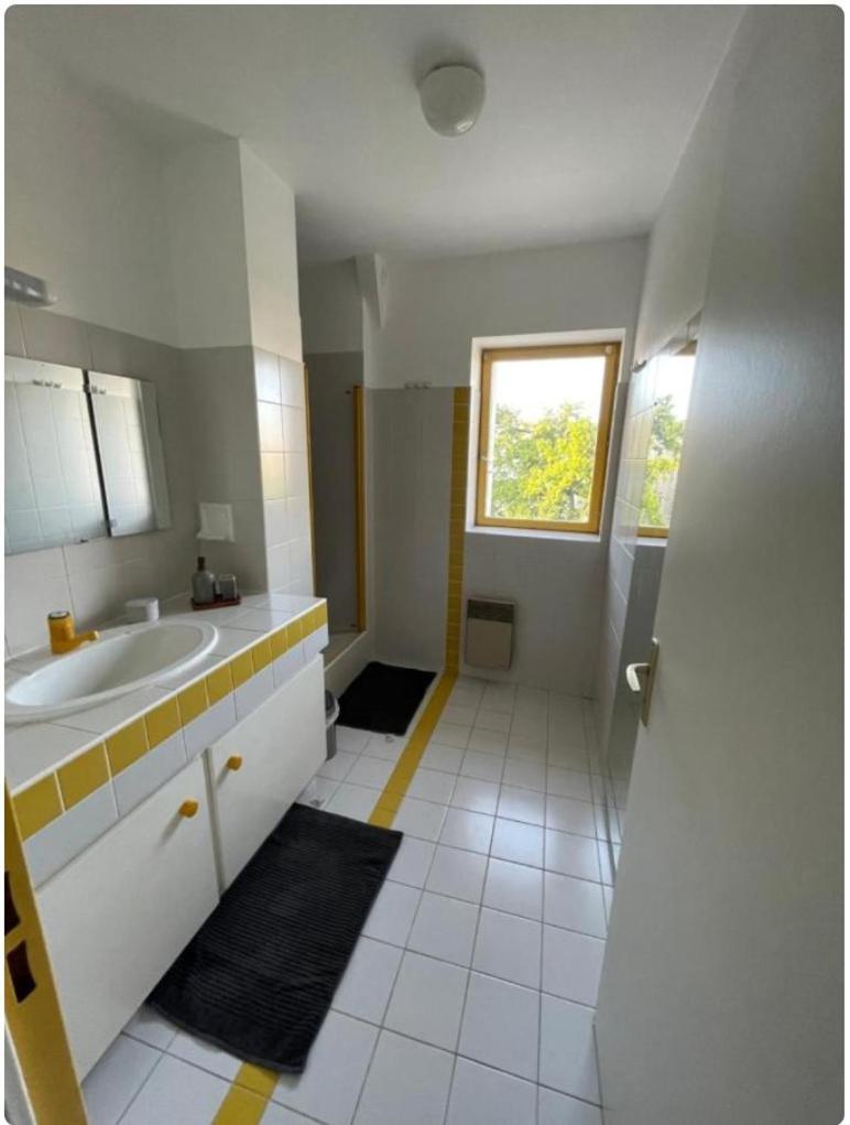 Grand Appartement Hypercentre Avec Terrasse Et Parking Puvatya Dış mekan fotoğraf